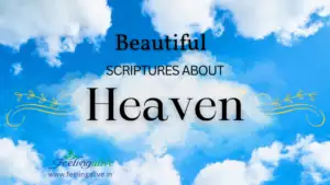 Heaven Bible verses